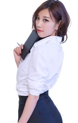 Miss Secretary